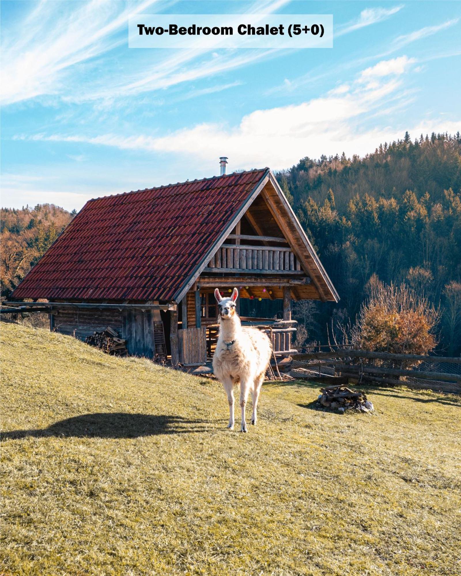 Ranch At Geta Pensionat Razgorce Rum bild